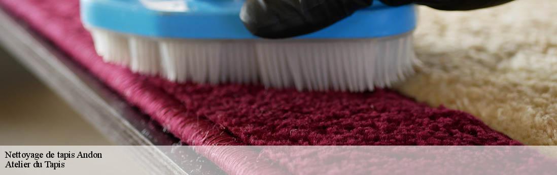 Nettoyage de tapis  andon-06750 Atelier du Tapis