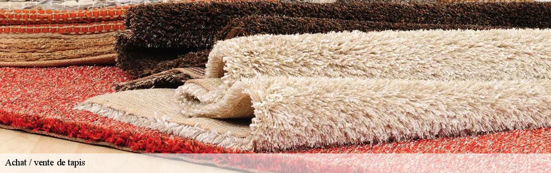 Achat / vente de tapis  seranon-06750 Atelier du Tapis