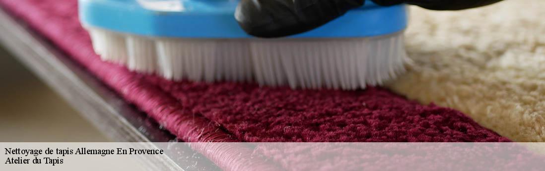 Nettoyage de tapis  allemagne-en-provence-04550 Atelier du Tapis
