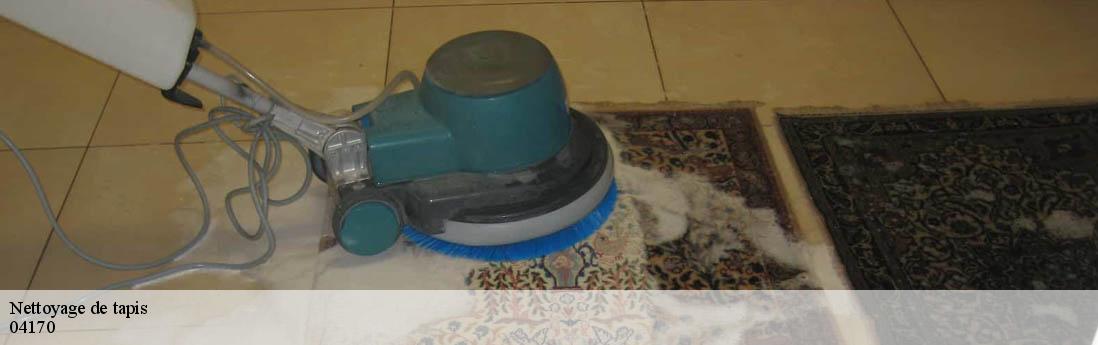 Nettoyage de tapis  saint-julien-du-verdon-04170 Atelier du Tapis