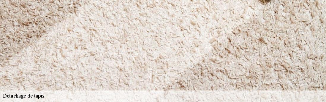 Détachage de tapis  camaret-sur-aigues-84850 Atelier du Tapis