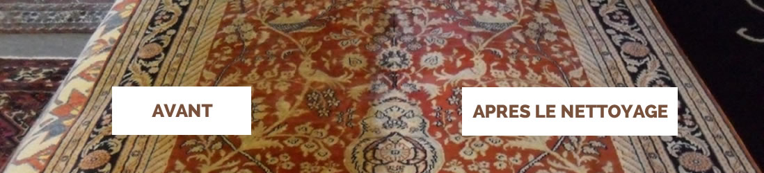Nettoyage de tapis dans le 06 Alpes Maritimes